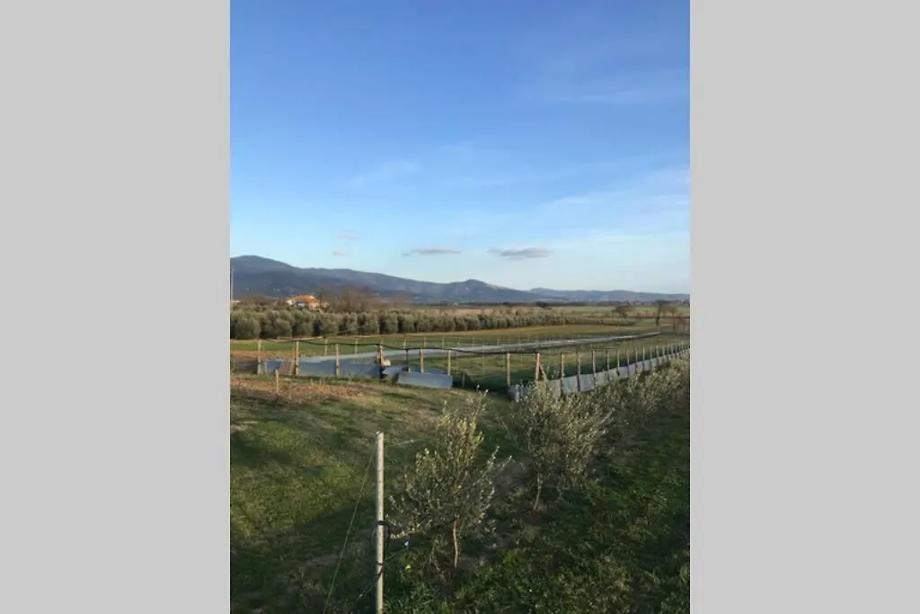Casale Me Apartment Cortona Italy