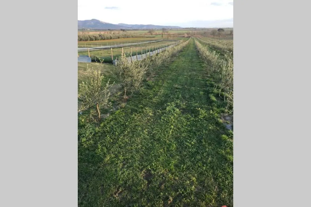 Casale Me Apartman Cortona 0*,  Olaszország